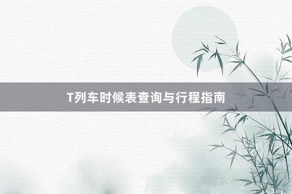 T列车时候表查询与行程指南